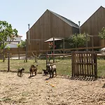 Arneiro 1 וילה Maçeira