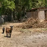 Arneiro 1 Вилла Вимейру